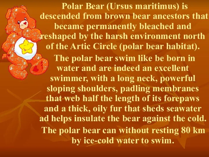 Polar Bear (Ursus maritimus) is descended from brown bear ancestors that