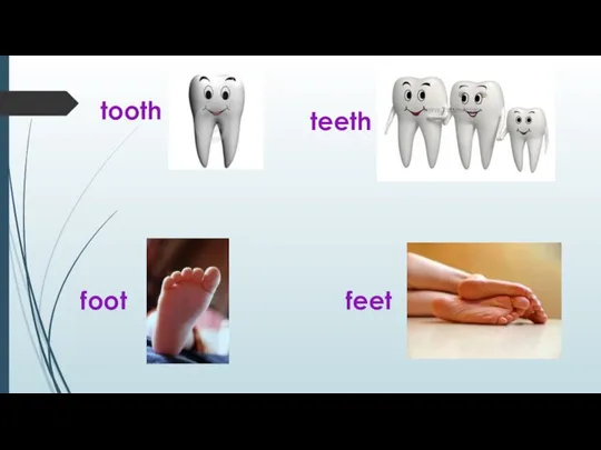 tooth teeth foot feet