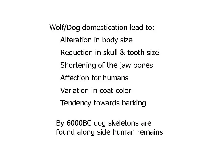 Wolf/Dog domestication lead to: Alteration in body size Reduction in skull