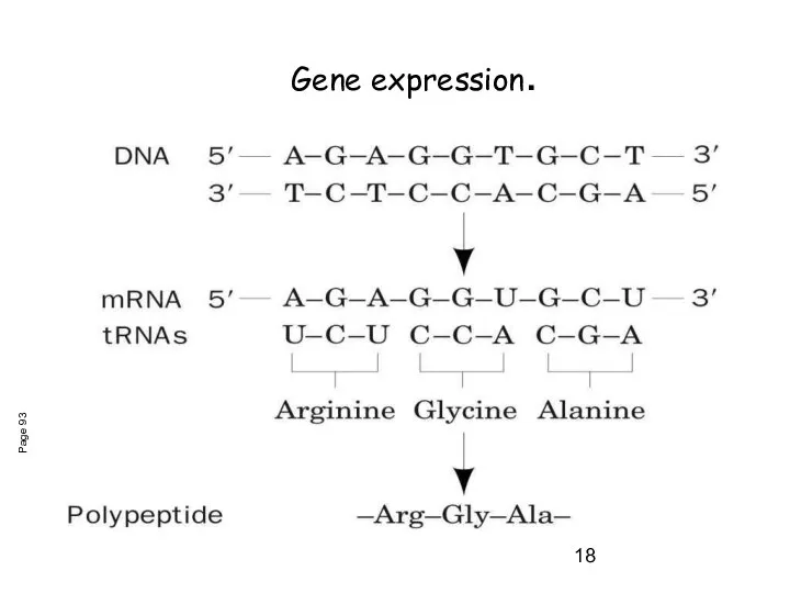 Gene expression. Page 93