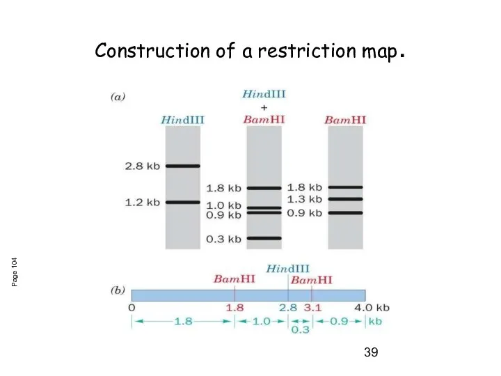 Construction of a restriction map. Page 104