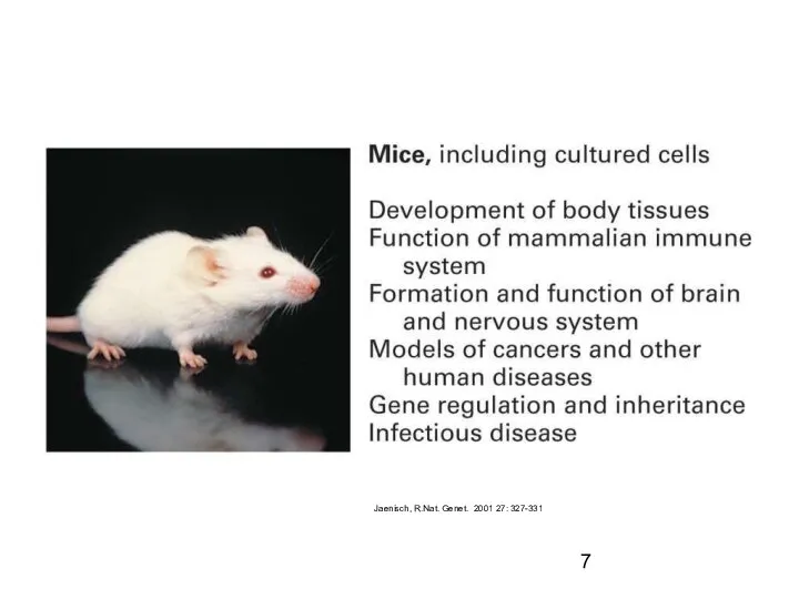 Jaenisch, R.Nat. Genet. 2001 27: 327-331