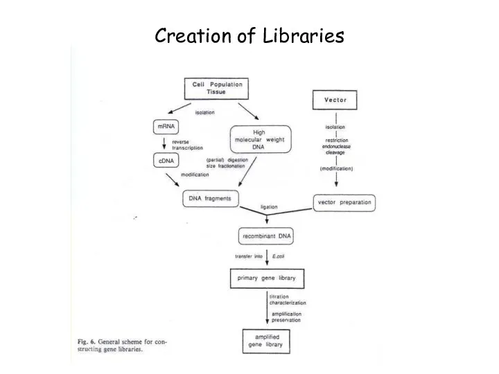 Creation of Libraries