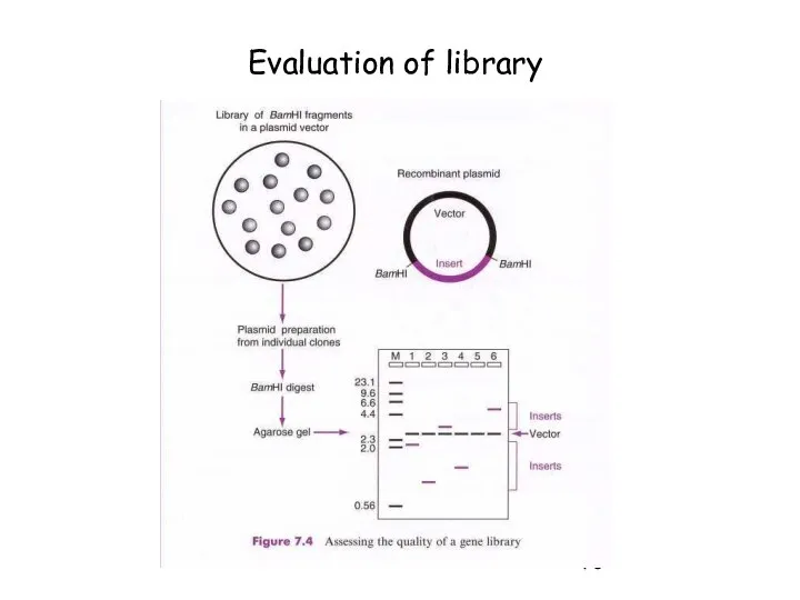Evaluation of library