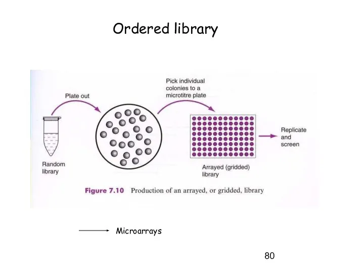 Ordered library Microarrays