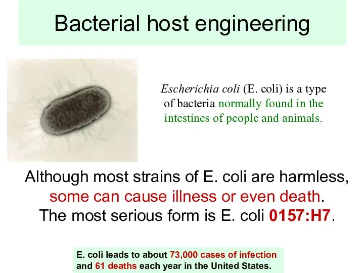 Bacterial host engineering Although most strains of E. coli are harmless,