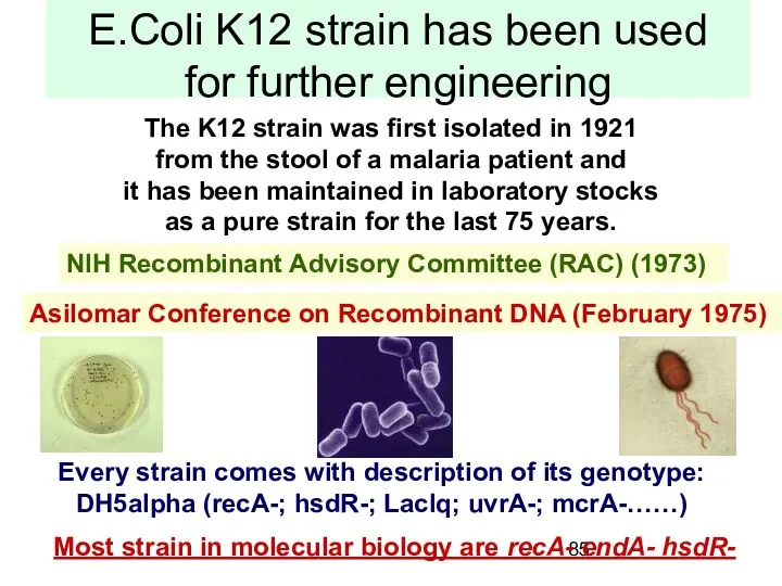 E.Coli K12 strain has been used for further engineering The K12