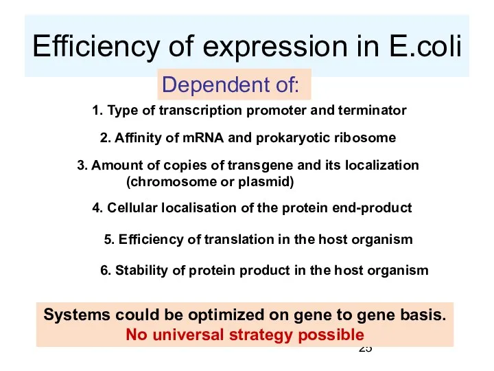 Efficiency of expression in E.coli Dependent of: 1. Type of transcription