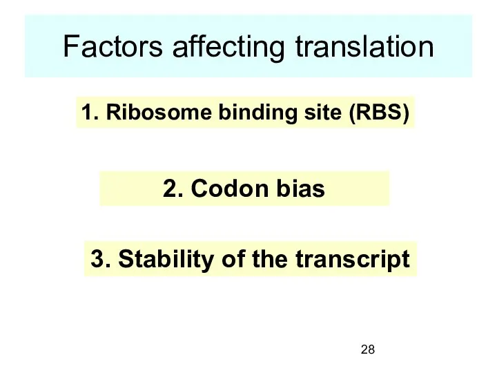 Factors affecting translation 1. Ribosome binding site (RBS) 2. Codon bias 3. Stability of the transcript