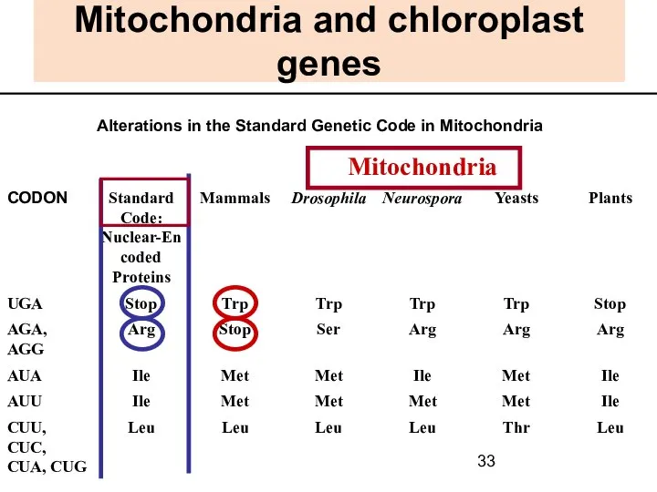 Mitochondria and chloroplast genes Alterations in the Standard Genetic Code in Mitochondria