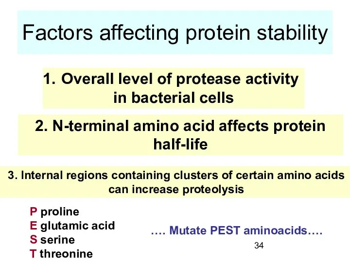 Factors affecting protein stability Overall level of protease activity in bacterial