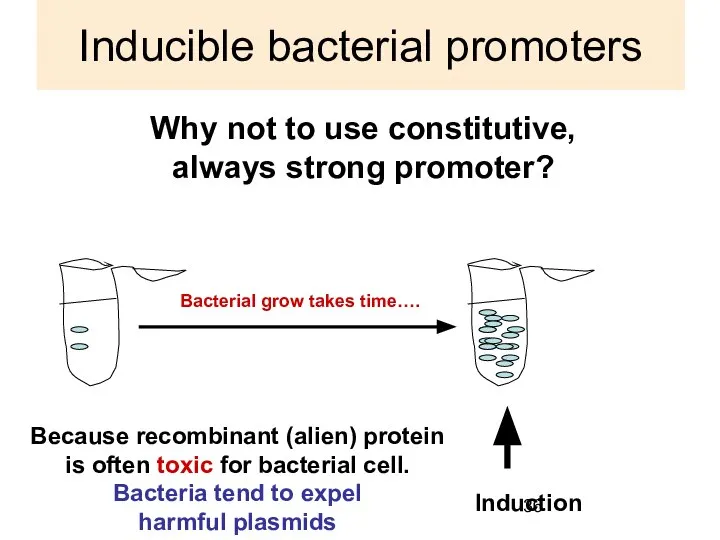 Inducible bacterial promoters Why not to use constitutive, always strong promoter?
