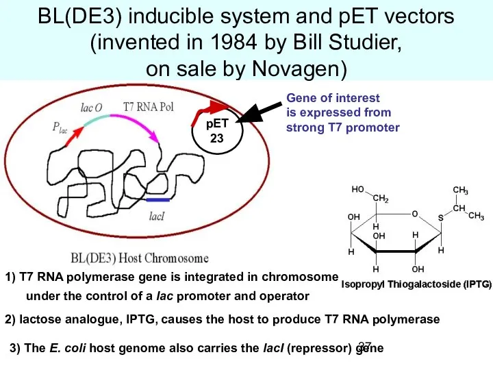BL(DE3) inducible system and pET vectors (invented in 1984 by Bill