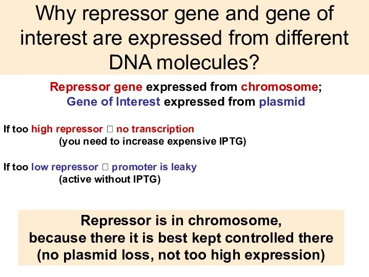 Why repressor gene and gene of interest are expressed from different