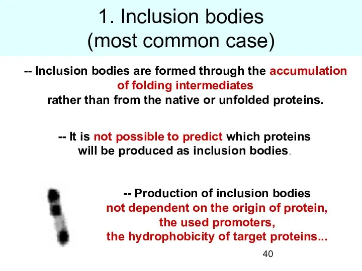 1. Inclusion bodies (most common case) -- Inclusion bodies are formed
