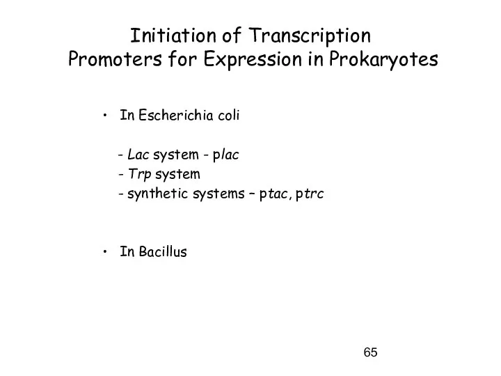 Initiation of Transcription Promoters for Expression in Prokaryotes In Escherichia coli