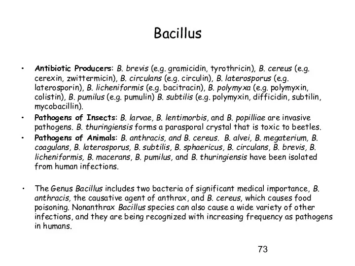 Bacillus Antibiotic Producers: B. brevis (e.g. gramicidin, tyrothricin), B. cereus (e.g.
