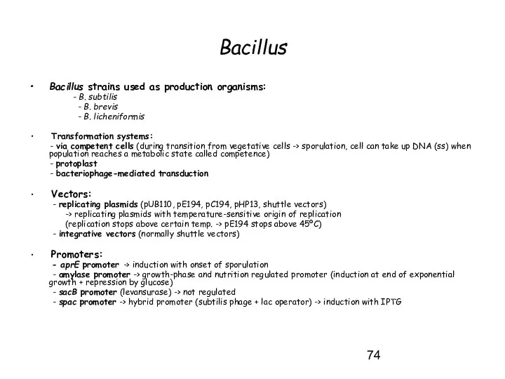 Bacillus Bacillus strains used as production organisms: - B. subtilis -
