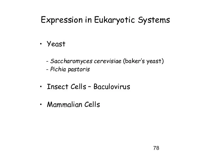 Expression in Eukaryotic Systems Yeast - Saccharomyces cerevisiae (baker’s yeast) -