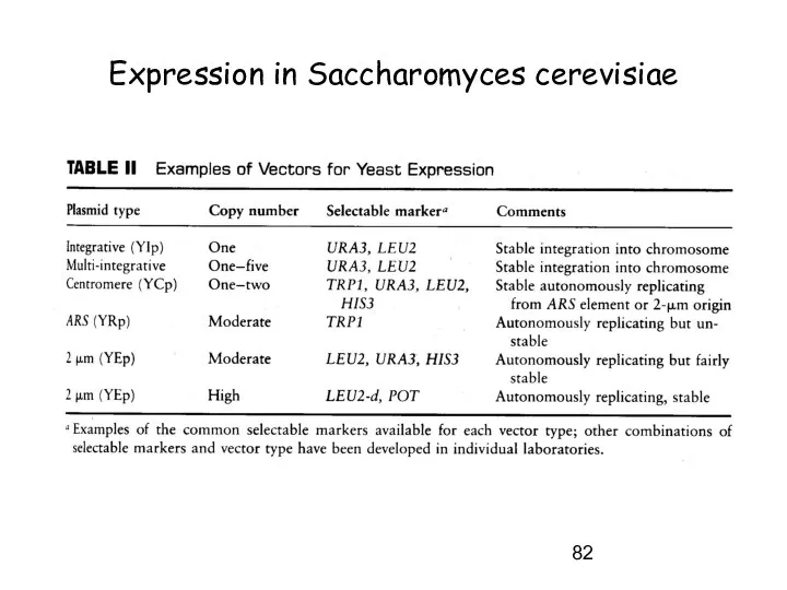 Expression in Saccharomyces cerevisiae