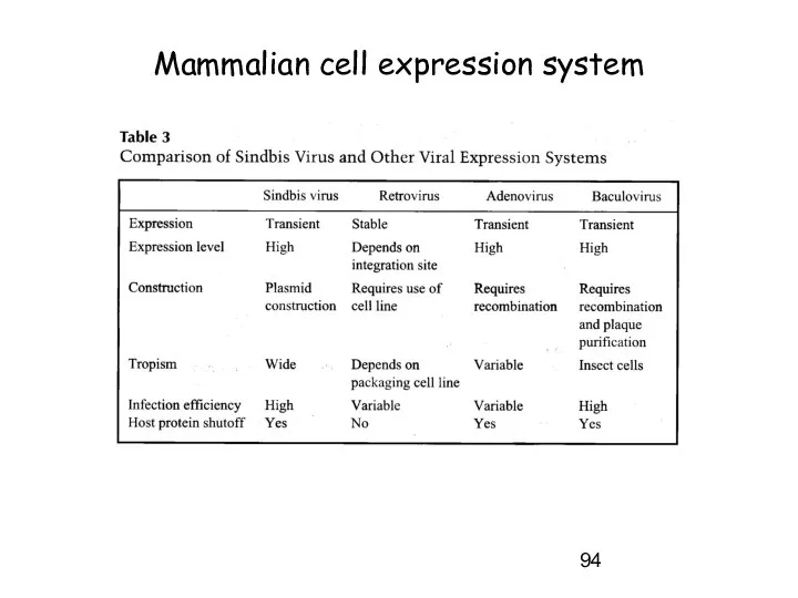 Mammalian cell expression system