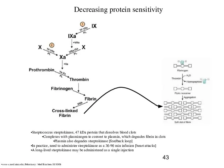 Decreasing protein sensitivity Streptococcus streptokinase, 47 kDa protein that dissolves blood