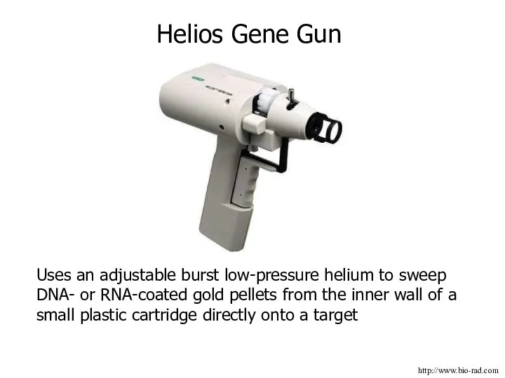 Helios Gene Gun http://www.bio-rad.com Uses an adjustable burst low-pressure helium to