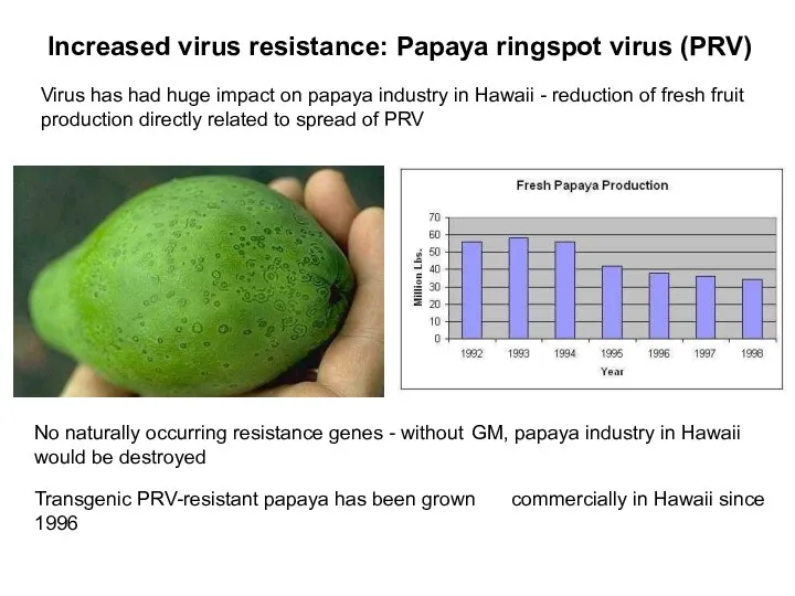 Transgenic PRV-resistant papaya has been grown commercially in Hawaii since 1996