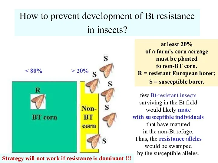How to prevent development of Bt resistance in insects? at least