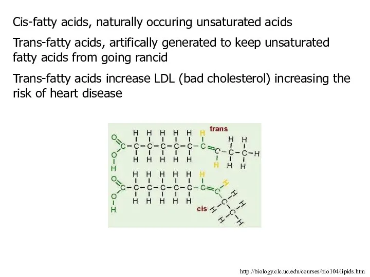 http://biology.clc.uc.edu/courses/bio104/lipids.htm Cis-fatty acids, naturally occuring unsaturated acids Trans-fatty acids, artifically generated