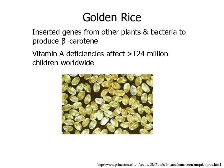 http://www.princeton.edu/~fecelik/GMFoods/impactshumanconsumptionpros.html Golden Rice Inserted genes from other plants & bacteria to