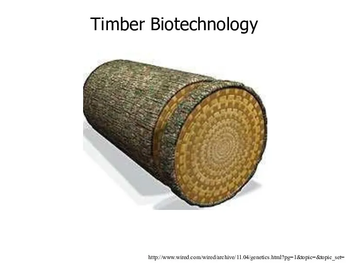 http://www.wired.com/wired/archive/11.04/genetics.html?pg=1&topic=&topic_set= Timber Biotechnology