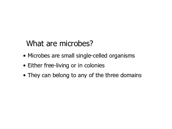 What are microbes? Microbes are small single-celled organisms Either free-living or