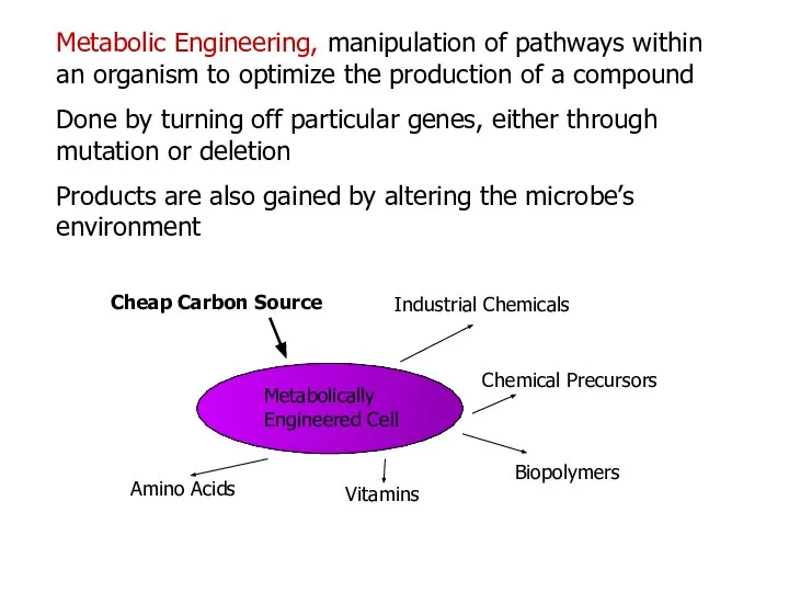 Metabolic Engineering, manipulation of pathways within an organism to optimize the