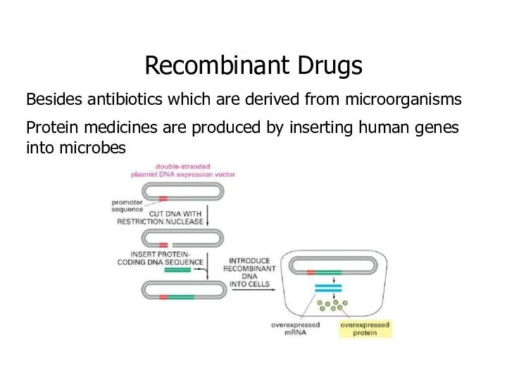 Recombinant Drugs Besides antibiotics which are derived from microorganisms Protein medicines