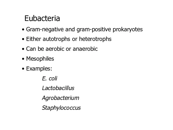 Eubacteria Gram-negative and gram-positive prokaryotes Either autotrophs or heterotrophs Can be