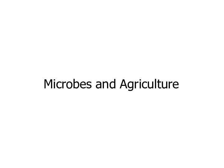 Microbes and Agriculture