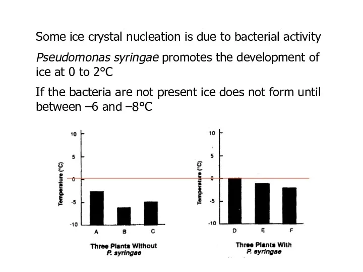 Some ice crystal nucleation is due to bacterial activity Pseudomonas syringae