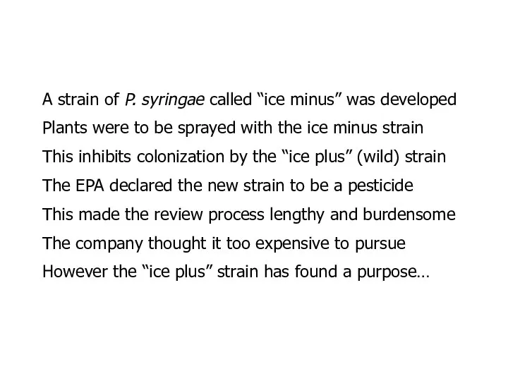 A strain of P. syringae called “ice minus” was developed Plants