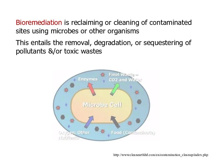 Bioremediation is reclaiming or cleaning of contaminated sites using microbes or