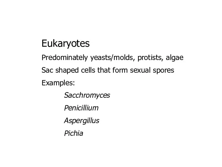 Eukaryotes Predominately yeasts/molds, protists, algae Sac shaped cells that form sexual