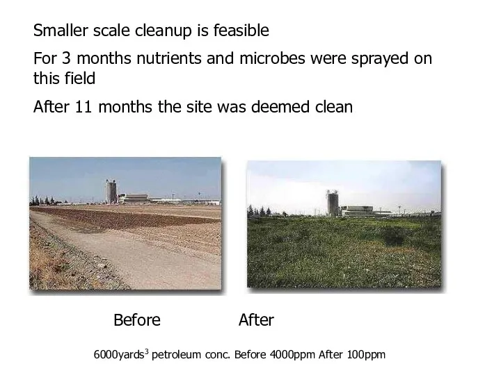 Before After Smaller scale cleanup is feasible For 3 months nutrients
