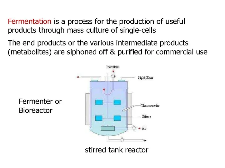 Fermentation is a process for the production of useful products through