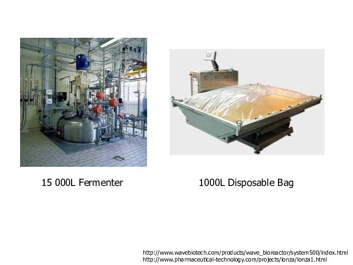 http://www.wavebiotech.com/products/wave_bioreactor/system500/index.html http://www.pharmaceutical-technology.com/projects/lonza/lonza1.html 15 000L Fermenter 1000L Disposable Bag