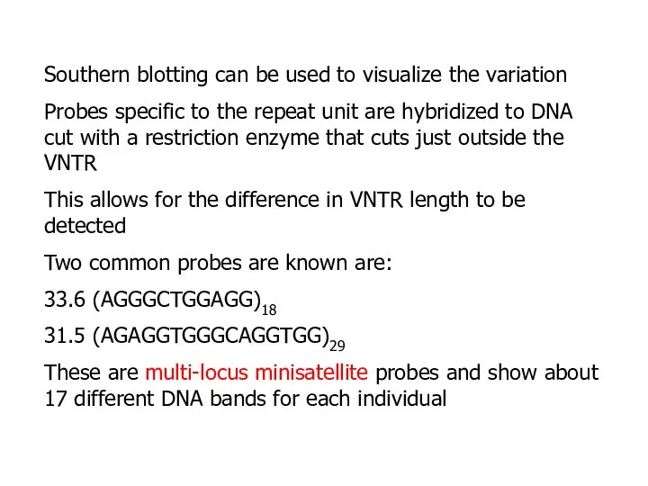 Southern blotting can be used to visualize the variation Probes specific