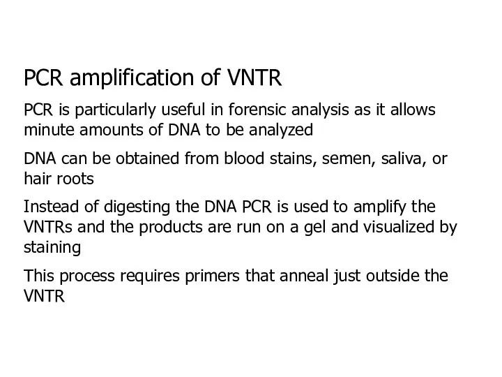 PCR amplification of VNTR PCR is particularly useful in forensic analysis