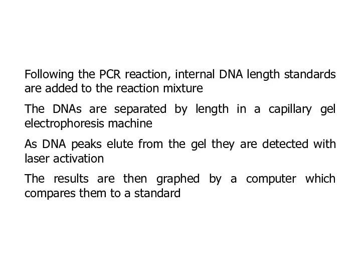 Following the PCR reaction, internal DNA length standards are added to