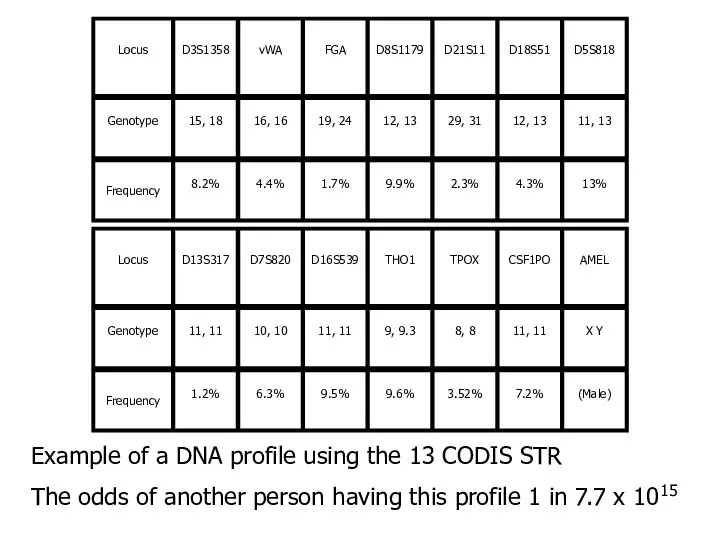 Example of a DNA profile using the 13 CODIS STR The