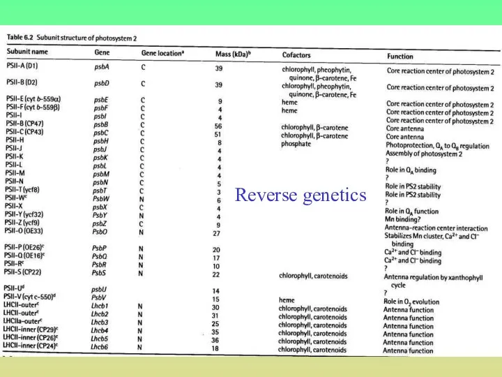 Reverse genetics