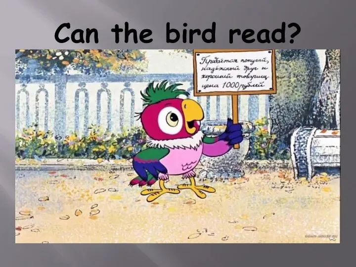 Can the bird read?